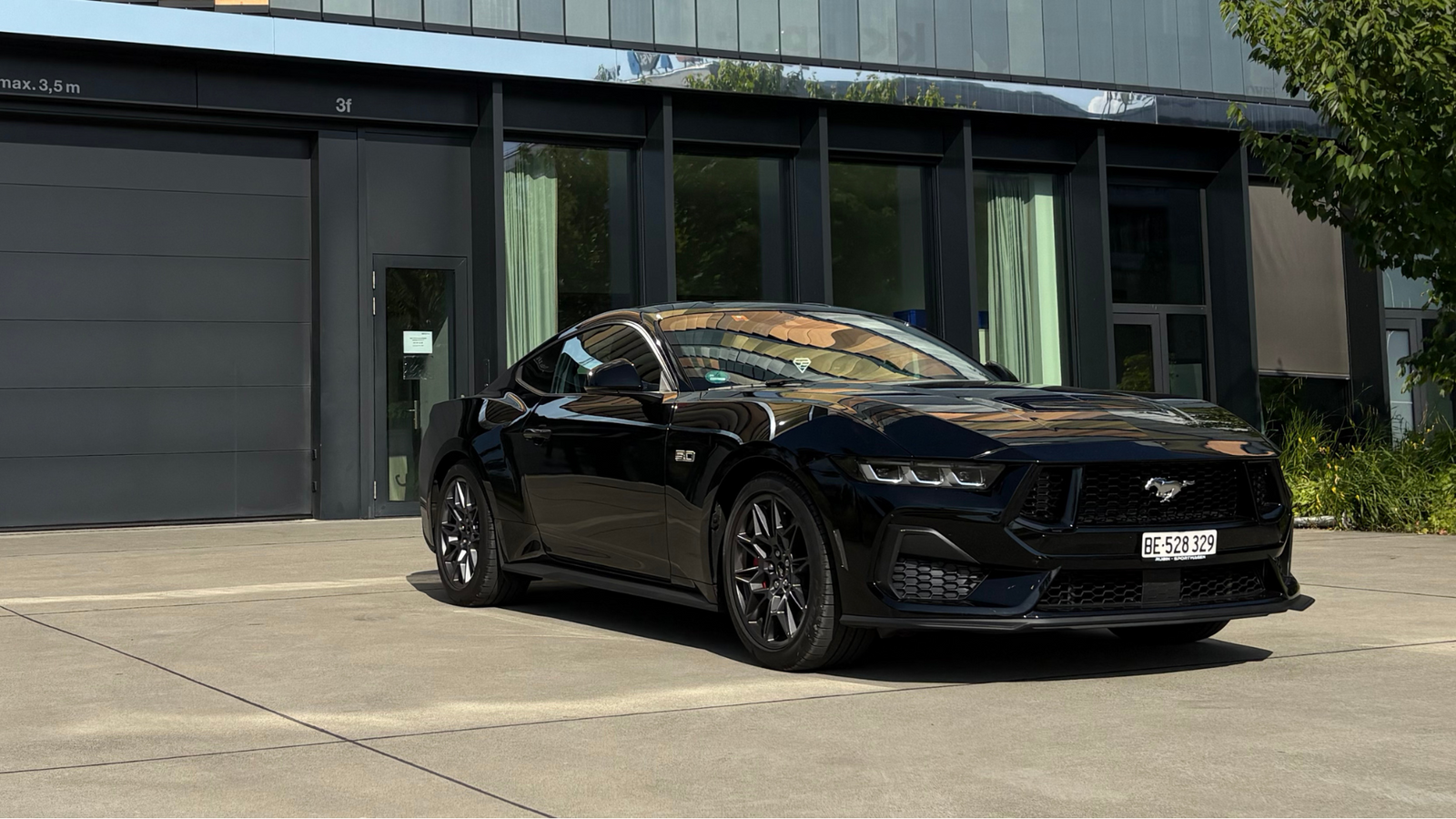 Mustang GT 5.0L